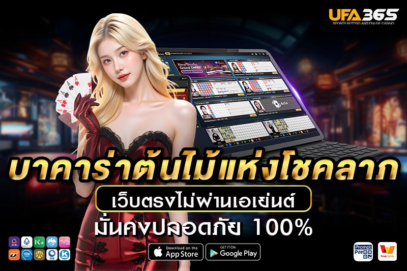 บาคาร่าต้นไม้แห่งโชคลาภ เรียนรู้พื้นฐาน วิธีเล่น และเทคนิคทำกำไร กับ UFA365