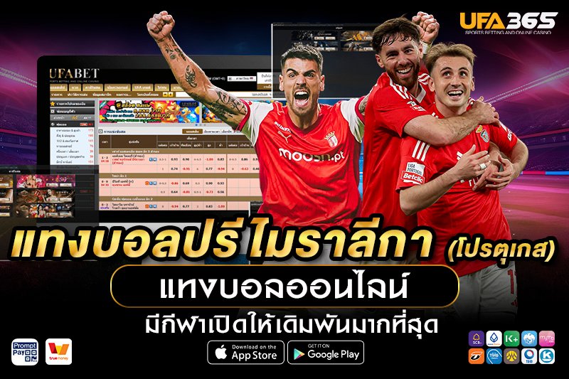 แทงบอลปรีไมราลีกา UFA365 เจาะลึกลีกโปรตุเกส พร้อมกลยุทธ์ทำกำไร